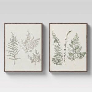 Set of 2 16" x 20" Threshold Ferns Framed Wall Art